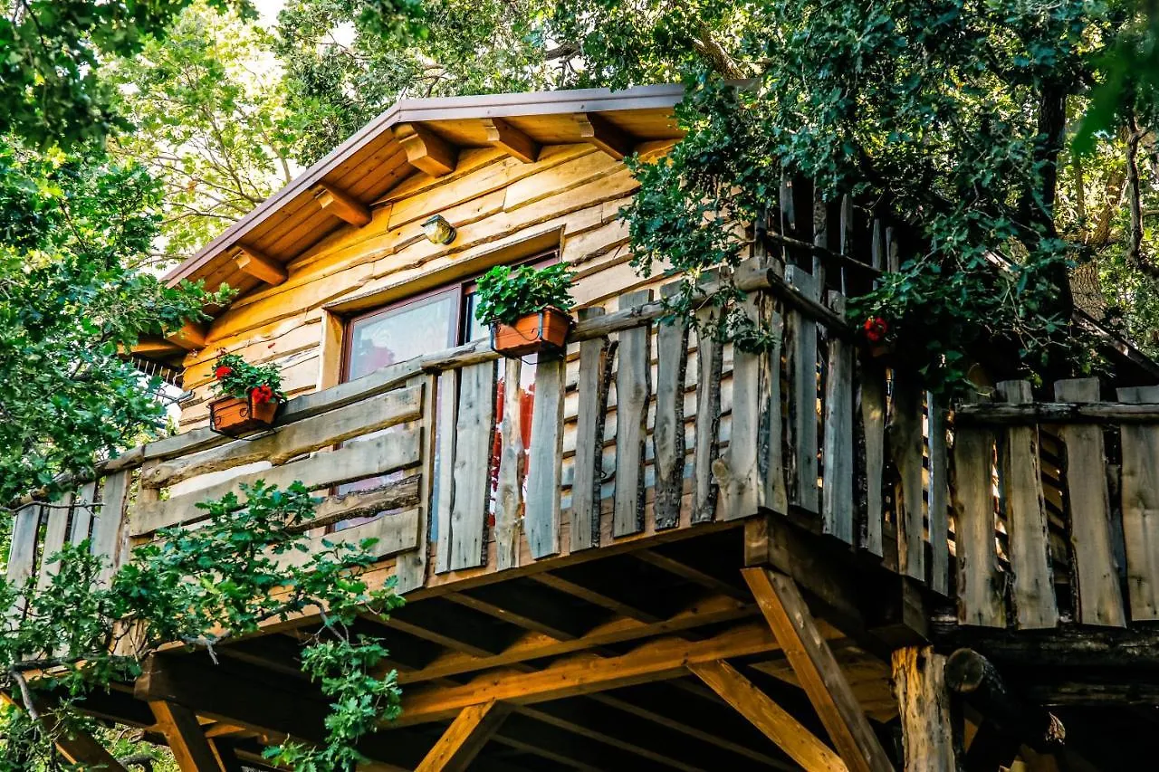 מסינה B & B Le Casette Sull'Albero Di Villa Alba אכסניה